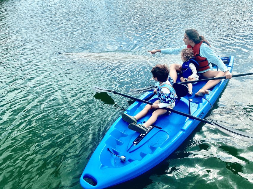 Miami: Manatee Season Paddleboard or Kayak Tour - Key points to know before booking