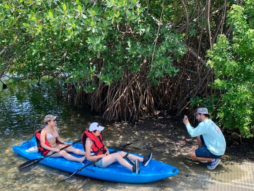 Miami: Manatee Season Paddleboard or Kayak Tour - Who should book this paddle tour