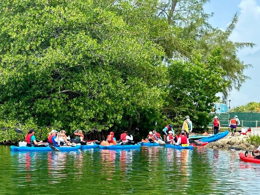 Miami: Manatee Season Paddleboard or Kayak Tour - Lamar Lake and the hunt for manatees