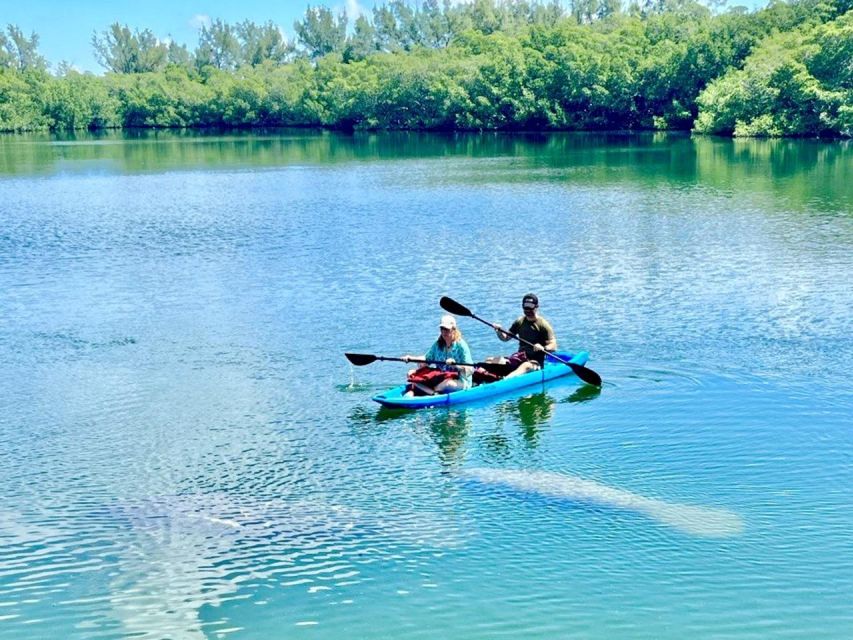 Miami: Manatee Season Paddleboard or Kayak Tour - Biscayne Bay brings nature and skyline together