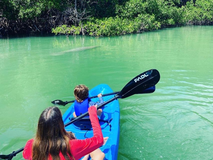 Miami: Manatee Season Paddleboard or Kayak Tour - Atlantic coast views and possible wildlife