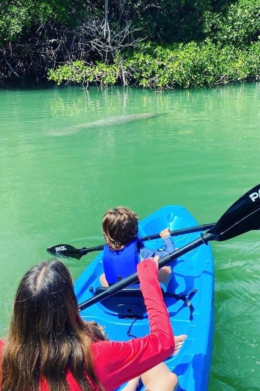 Miami: Manatee Season Paddleboard or Kayak Tour - Two hours on the water, with one timing caveat