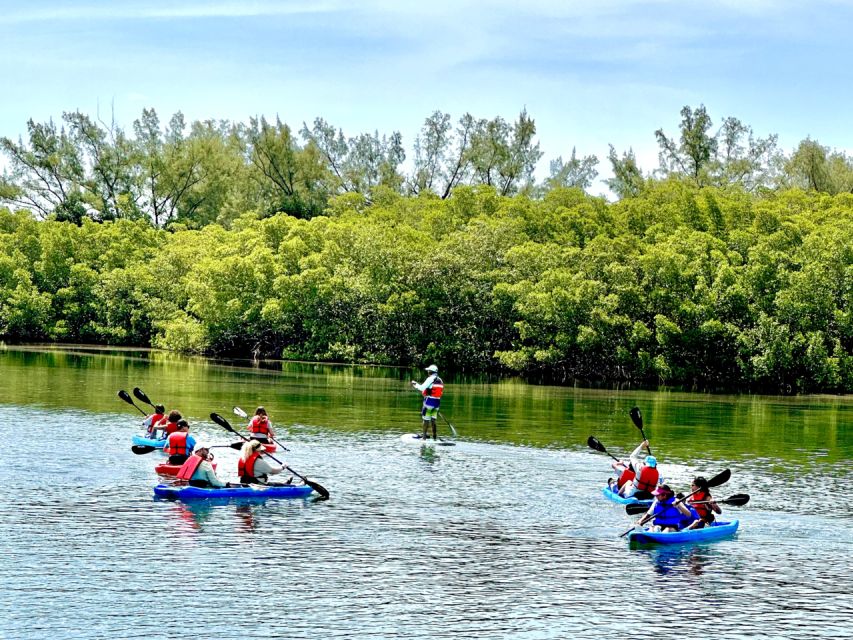 Miami: Manatee Season Paddleboard or Kayak Tour - What to bring to Virginia Key