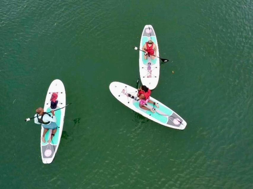 Miami: Paddle Board or Kayak Rental in Virginia Key - A quiet hour beside Downtown Miami