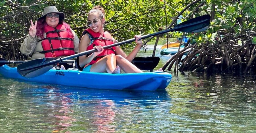 Miami: Paddle Board or Kayak Rental in Virginia Key - Who should book this Virginia Key rental?