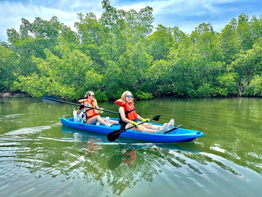 Miami: Paddle Board or Kayak Rental in Virginia Key - Wildlife: what you might see by season