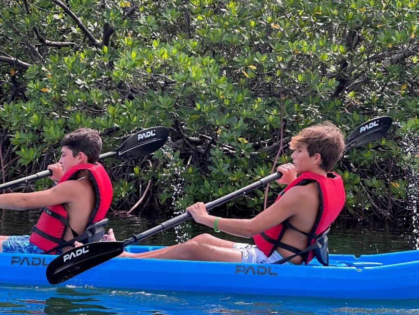 Miami: Paddle Board or Kayak Rental in Virginia Key - Is one hour enough?