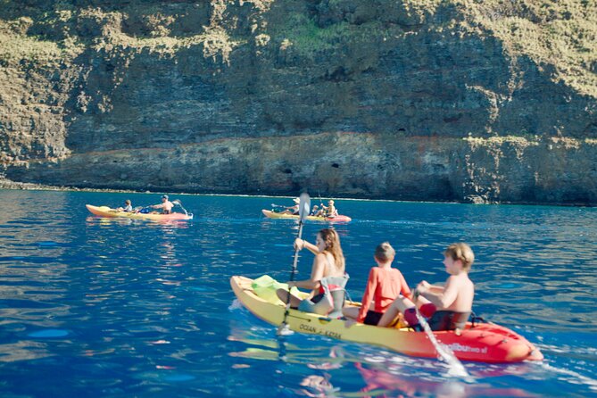 Midday Meander - Kealakekua Bay Kayak and Snorkel Adventure - Snorkeling the Kaawaloa coastline