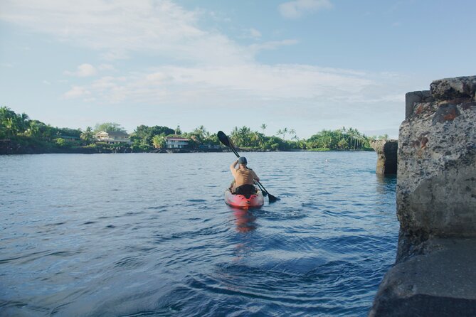 Midday Meander - Kealakekua Bay Kayak and Snorkel Adventure - What the $187.45 price really covers