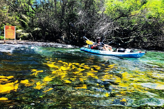 Midday Meander - Kealakekua Bay Kayak and Snorkel Adventure - Meeting in Kealakekua before the water