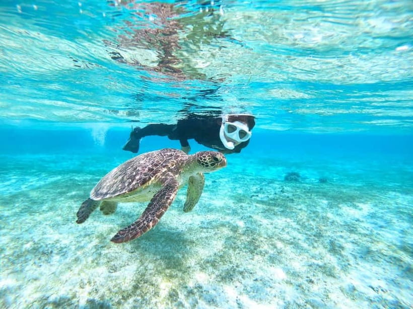 Miyako island: 3 sets! Snorkeling/Limestone Caving/Beach SUP - Three Miyako Island adventures in one day