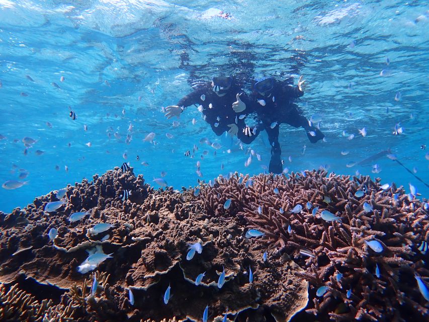 Miyako Island: SUP or Canoeing and Snorkeling Experience - Should You Book This Miyako Island Tour?