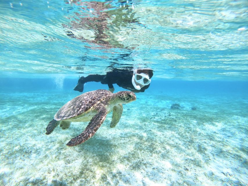 Miyako Island: SUP or Canoeing and Snorkeling Experience - Local Lunch, With Cash in Your Pocket