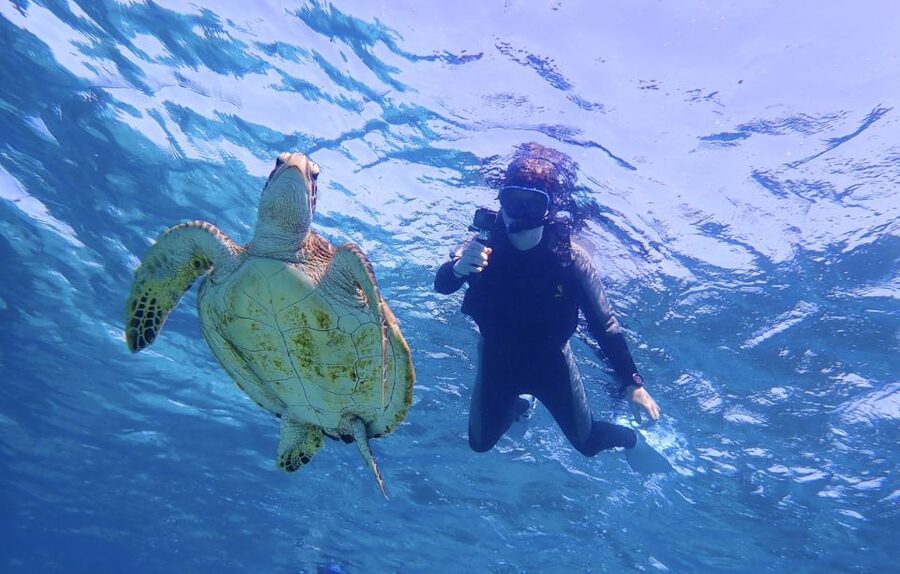 Miyako Island: SUP or Canoeing and Snorkeling Experience - Who Will Enjoy This Most