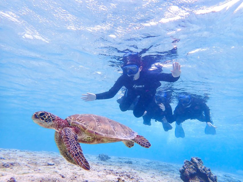 Miyako Island: SUP or Canoeing and Snorkeling Experience - Cancellation and Schedule Flexibility