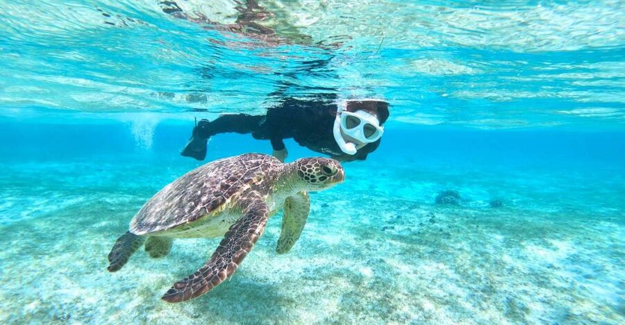 Miyako Island: SUP or Canoeing and Snorkeling Experience - Snorkeling Near Shigira Beach