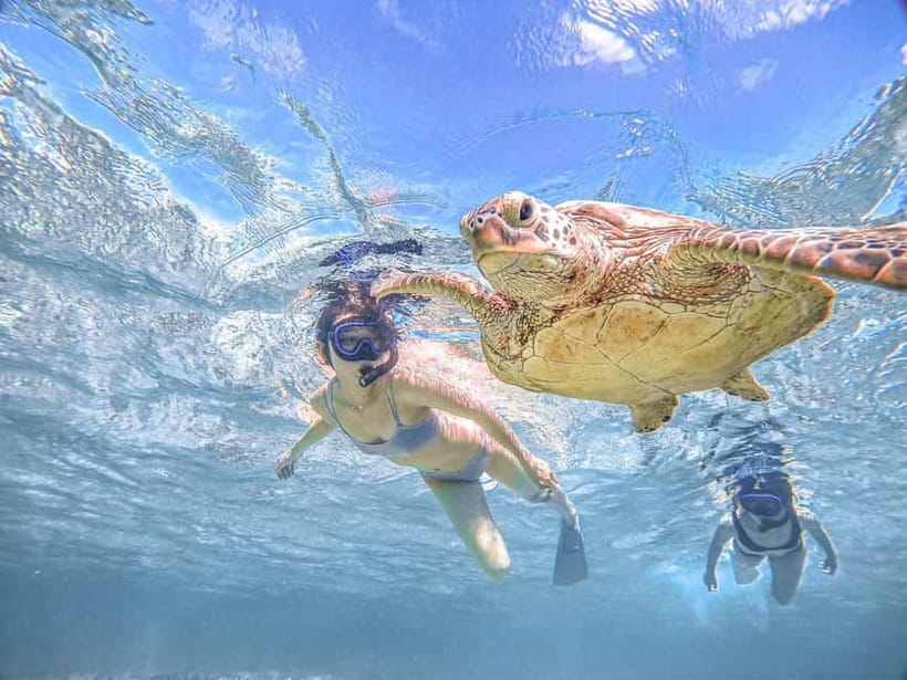 Miyakojima: SUP and Snorkeling- Two Activities in One Day - Two blue-water activities around Miyakojima