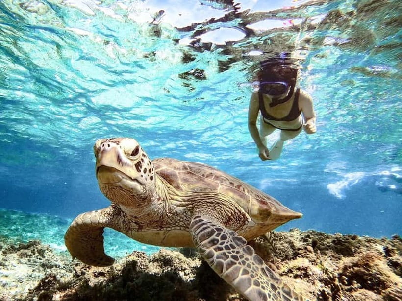 Miyakojima: SUP and Snorkeling- Two Activities in One Day - Should you book this Miyakojima SUP and snorkeling tour?
