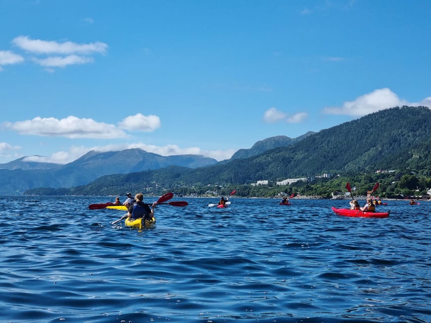 Molde - Guided kayak tour - The Guide Makes the Difference