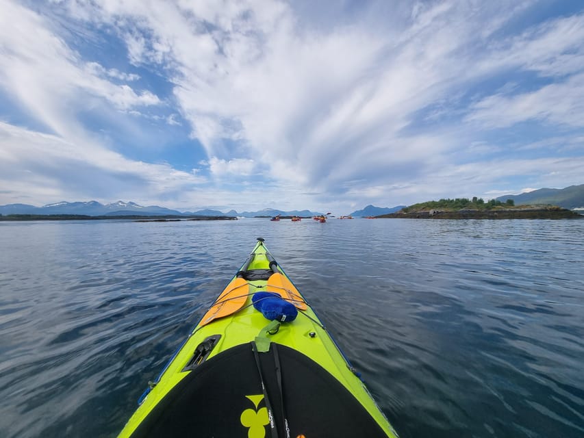Molde - Guided kayak tour - Who Will Enjoy This Tour Most