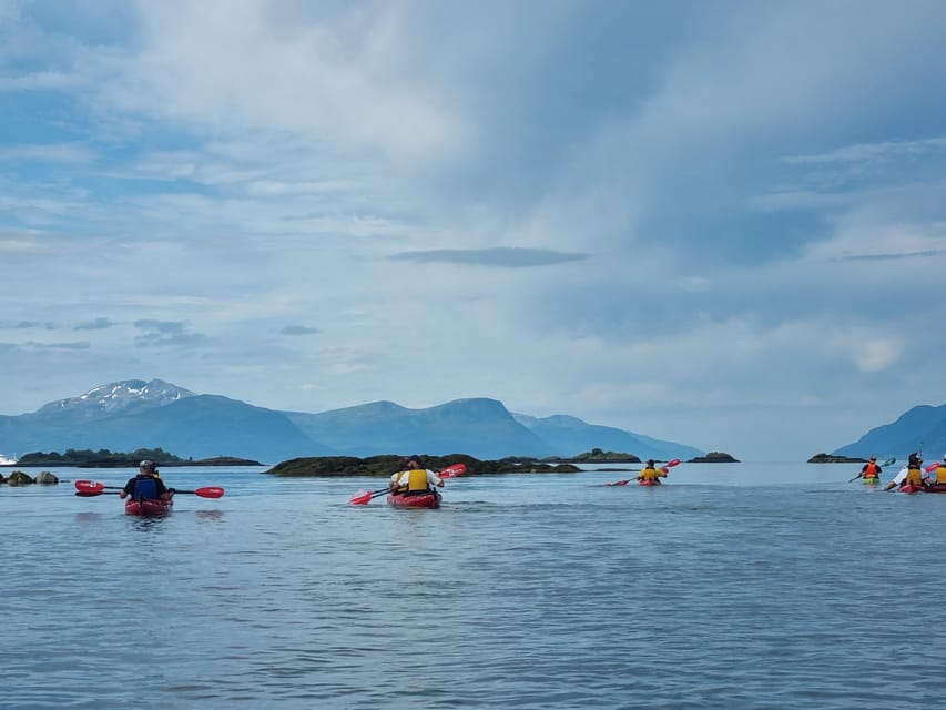 Molde - Guided kayak tour - Should You Book the Molde Kayak Tour?