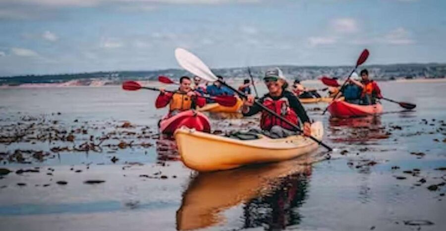 Monterey: Cannery Row Kayak Tour - Key points to know before you book