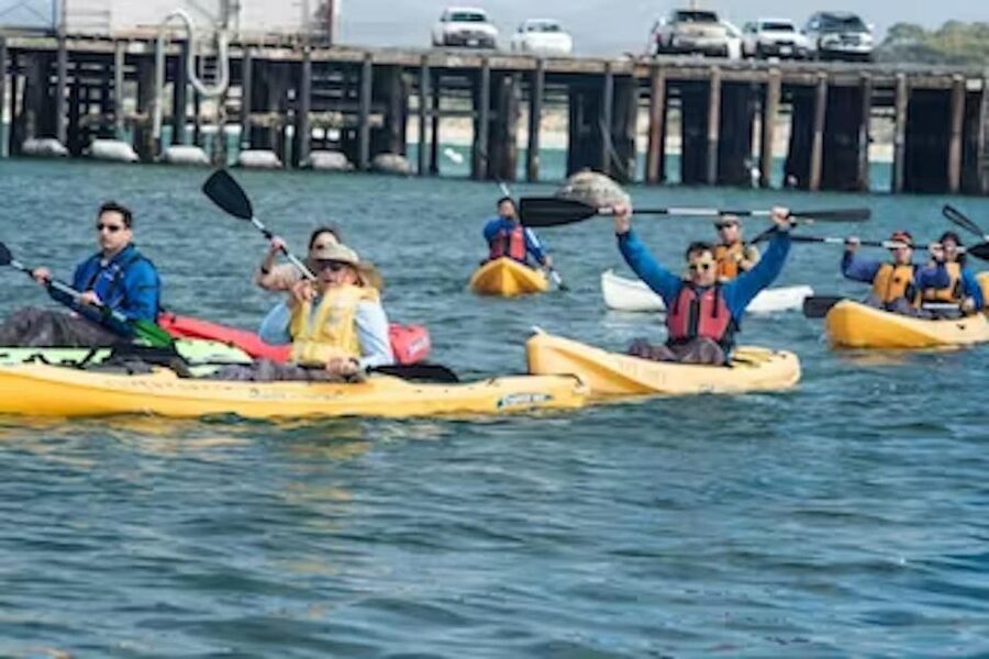 Monterey: Cannery Row Kayak Tour - Two hours among kelp, piers, and marine life