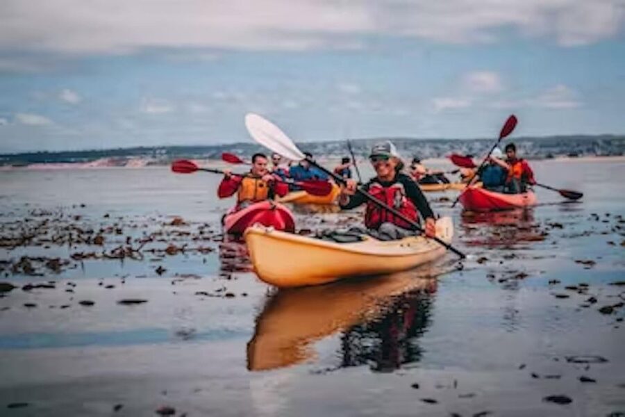 Monterey: Cannery Row Kayak Tour - Should you book the Cannery Row kayak tour?