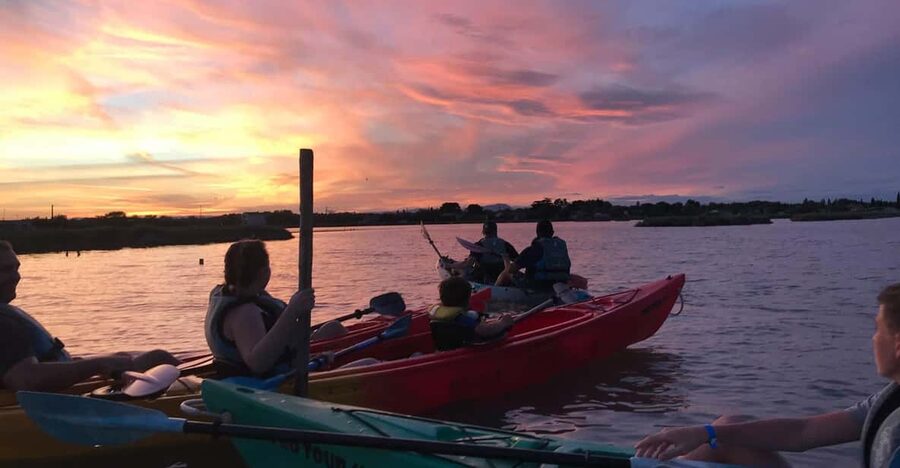 Montpellier : Birdwatching by kayak in the Camargue - Reaching the Quiet Side of the Camargue