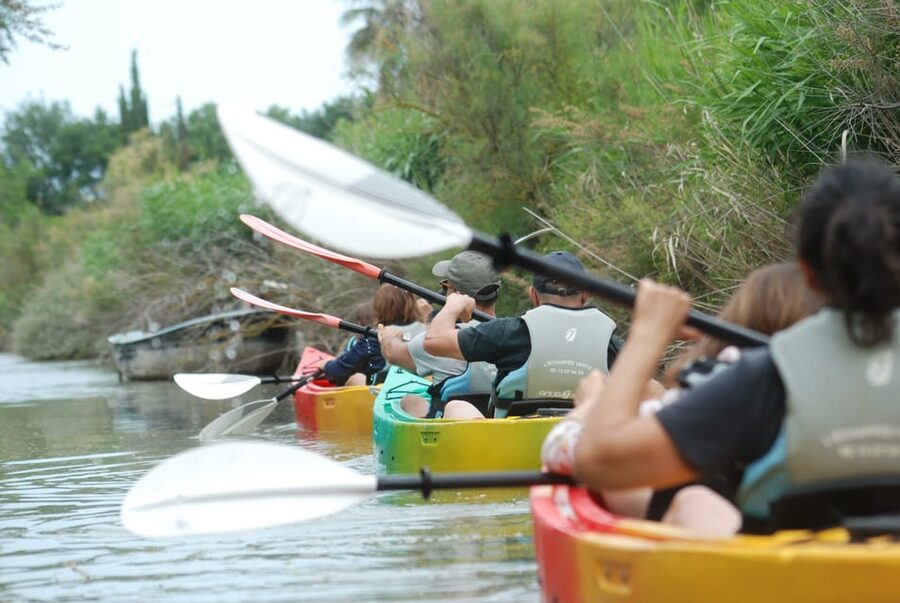 Montpellier : Birdwatching by kayak in the Camargue - Arriving at the Wooden Gate