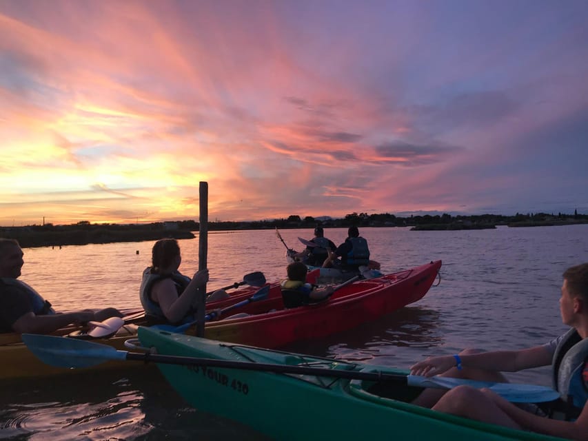 Montpellier : Birdwatching by kayak in the Camargue - Looking for Flamingos, Herons, and Kingfishers