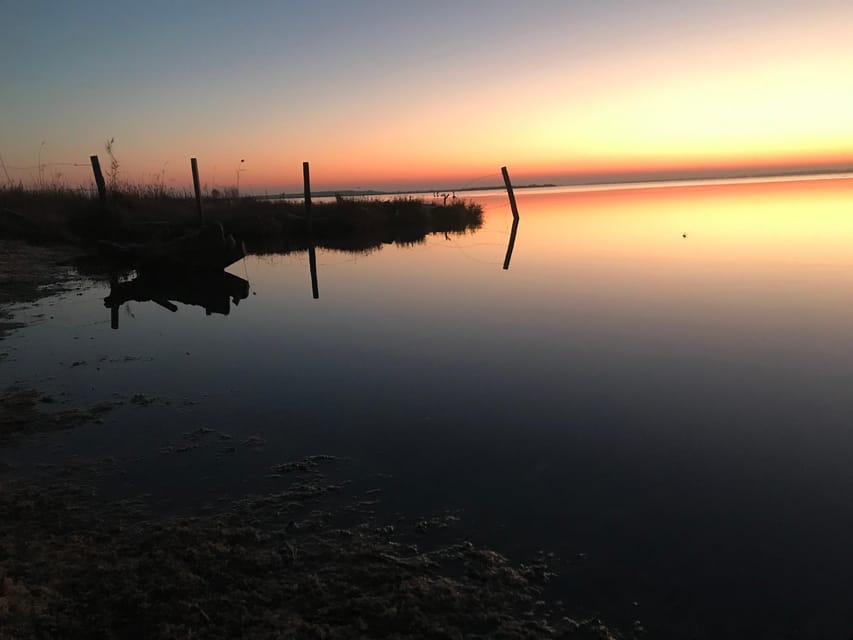 Montpellier : Birdwatching by kayak in the Camargue - Is $76 a Fair Price?