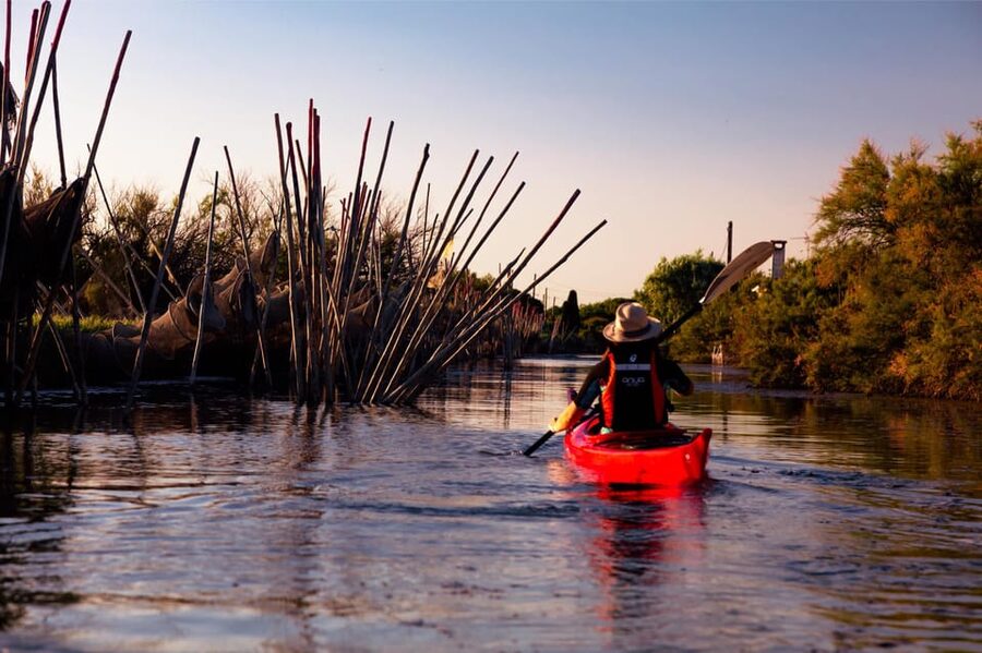 Montpellier : Birdwatching by kayak in the Camargue - Families, Swimming, and Practical Limits