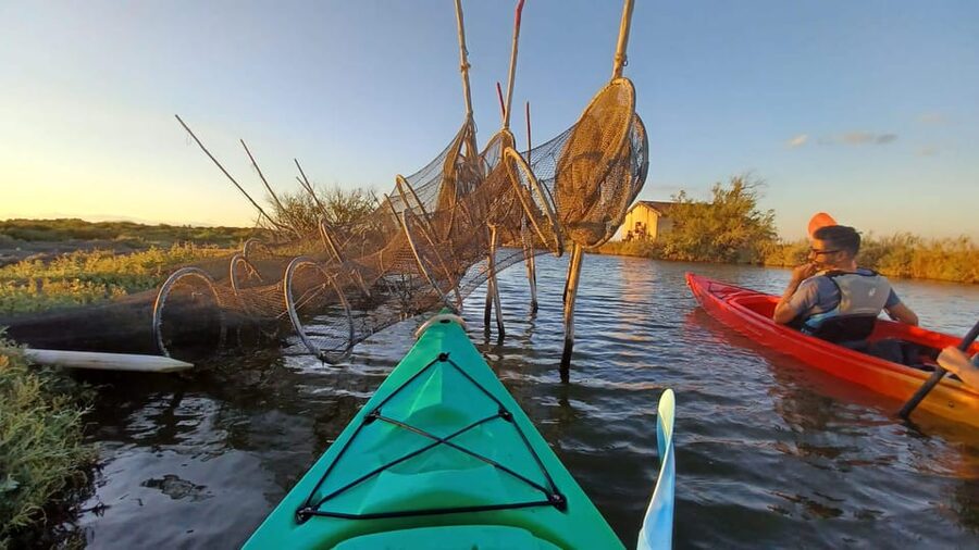 Montpellier : Birdwatching by kayak in the Camargue - How to Make the Most of the Outing
