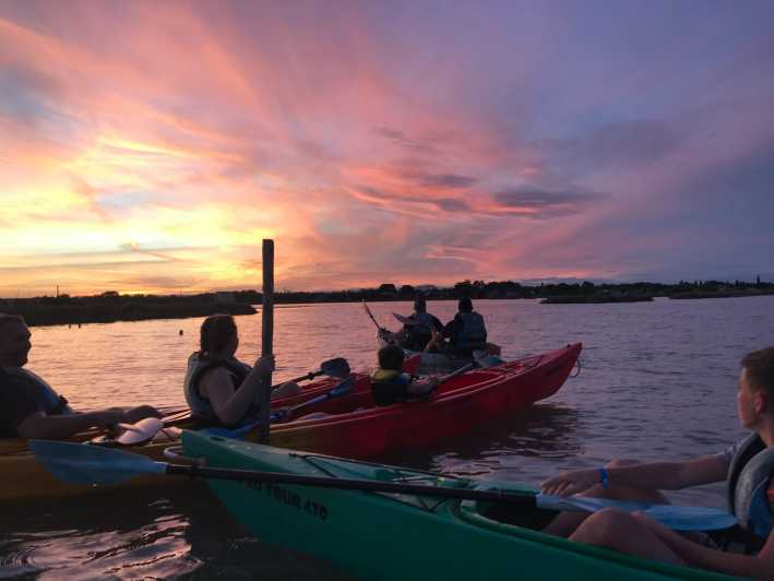 Montpellier : Birdwatching by kayak in the Camargue - The First Paddle Through the Lagoon