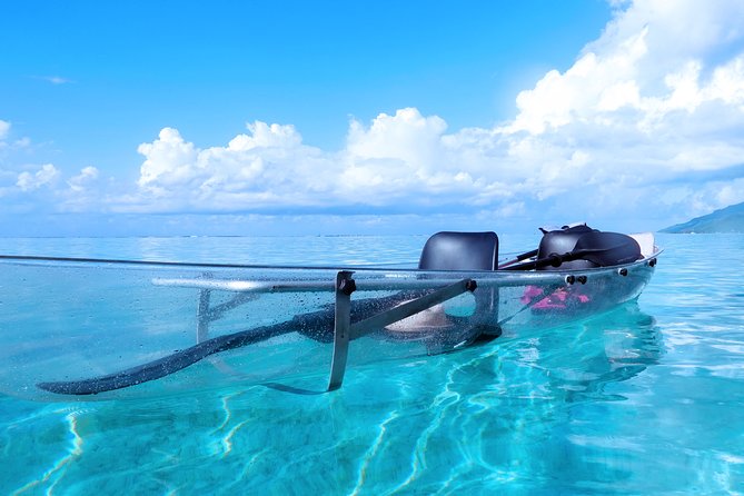 Moorea Lagoon Tour by Transparent Kayak - Physical requirements and family fit