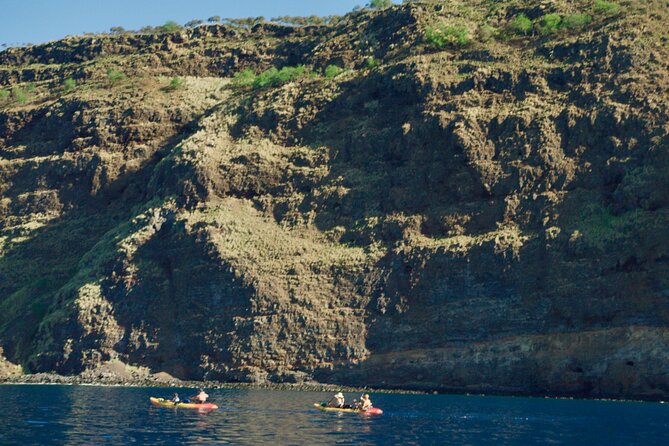 Morning Magic Kayak and Snorkel Adventure in Kealakekua Bay - A 7:00 am start at Kona Boys