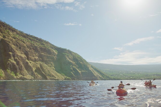 Morning Magic Kayak and Snorkel Adventure in Kealakekua Bay - Snorkeling among coral and tropical fish