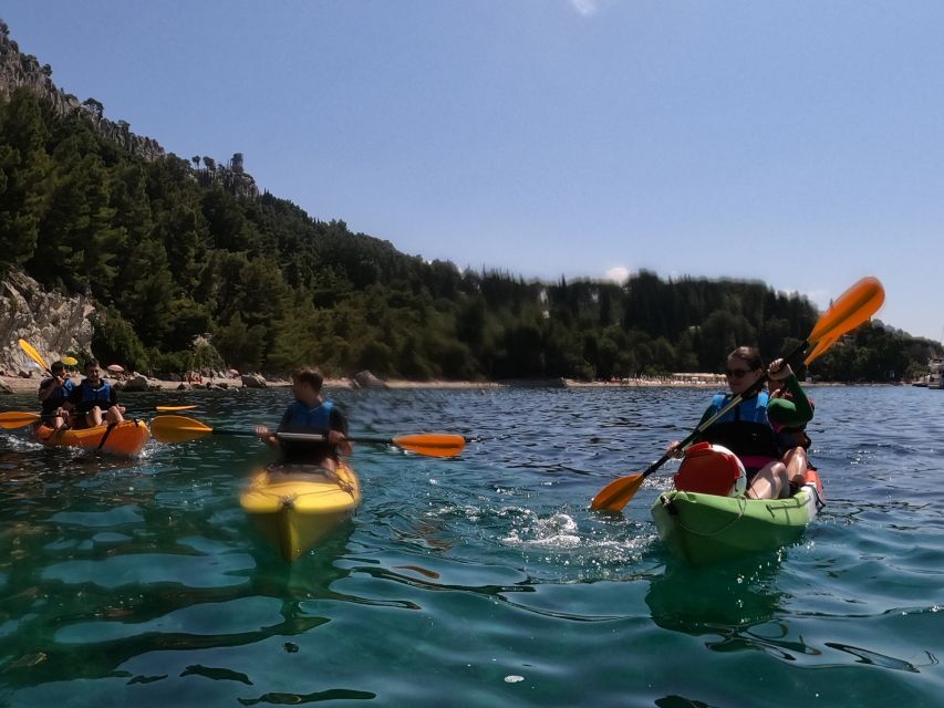 Morning Split Sea Kayaking Tour - Final call: is this tour right for you?