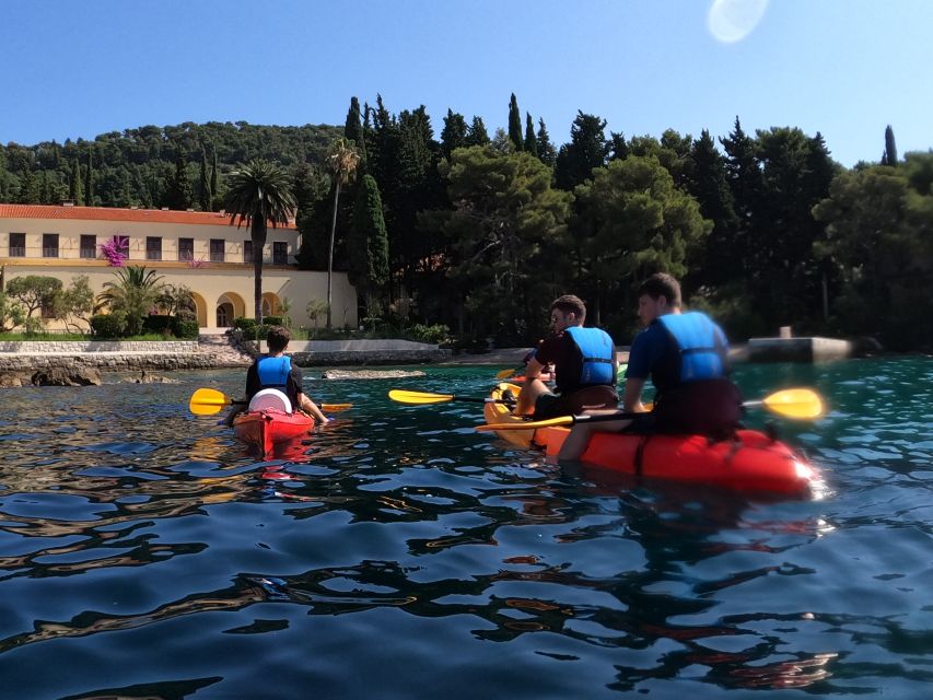 Morning Split Sea Kayaking Tour - Cliff jumping, with no pressure to perform