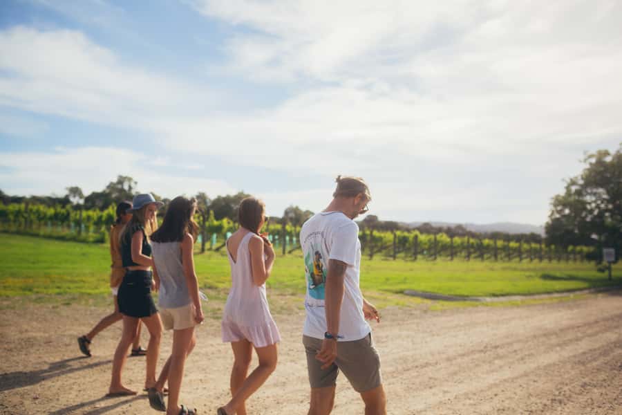 Mornington Peninsula: SUP, Hike, & Hot Springs Trip w/ Lunch - Key points to know before booking