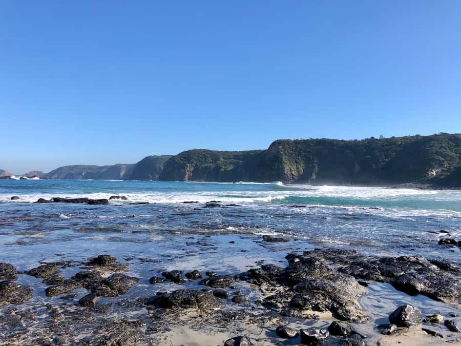 Mornington Peninsula: SUP, Hike, & Hot Springs Trip w/ Lunch - Wine, local produce, and a picnic with a view