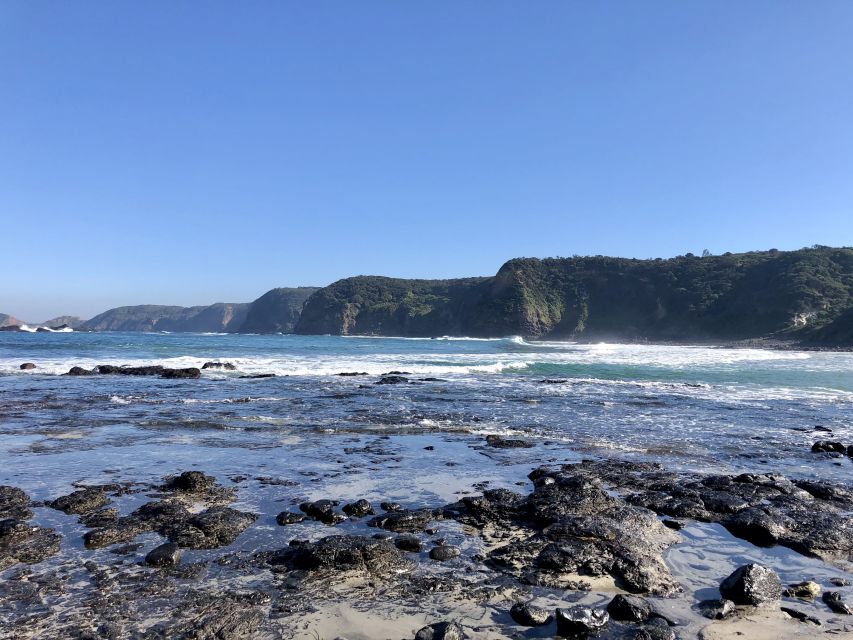 Mornington Peninsula: SUP, Hike, & Hot Springs Trip w/ Lunch - Practical packing advice