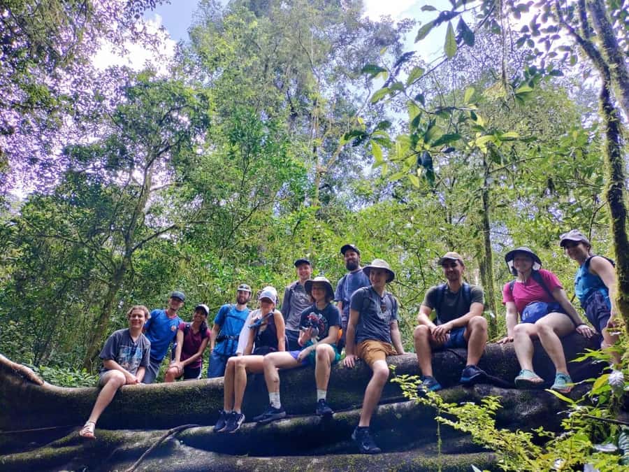 Munduk : Jungle Trekking,Canoeing,waterfall &authentic lunch - Walking through jungle and temple country