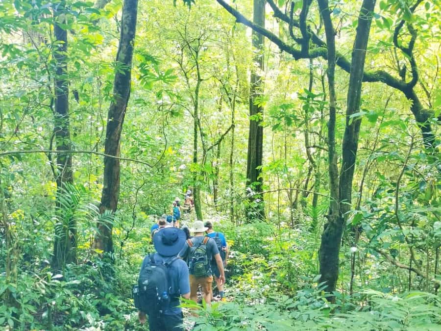 Munduk : Jungle Trekking,Canoeing,waterfall &authentic lunch - Starting among Bali’s northern lakes