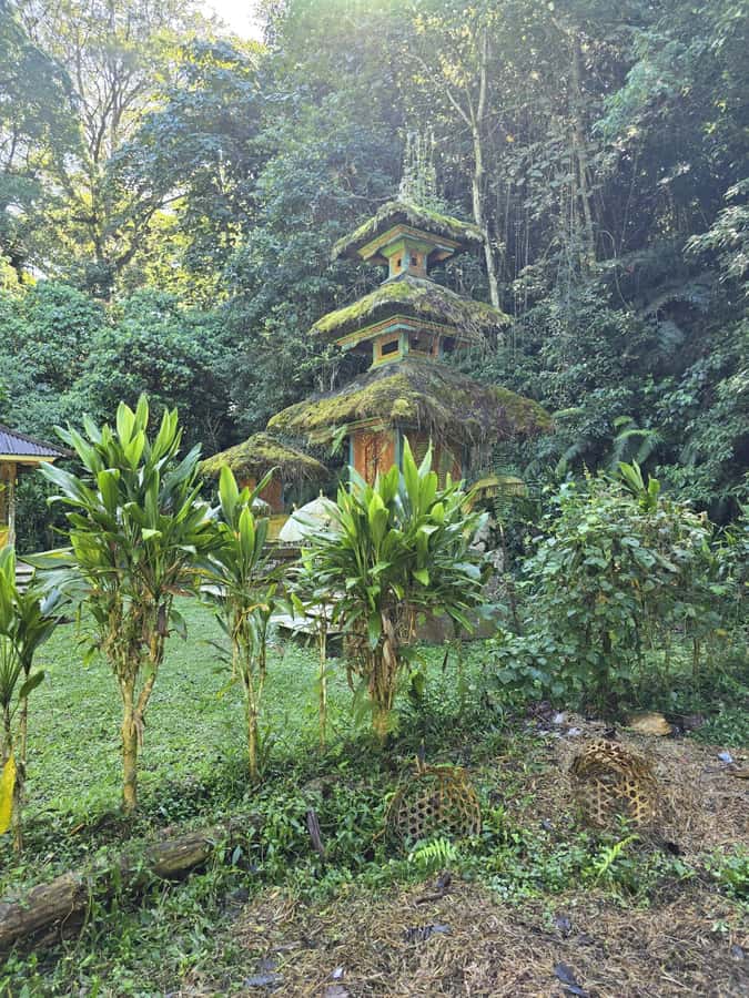 Munduk: Twin Lakes Jungle Hike with Lake Canoe and Waterfall - What the excellent ratings tell you about the service