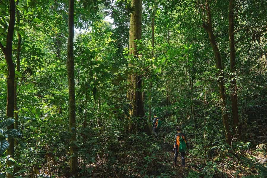 Munduk: Twin Lakes Jungle Hike with Lake Canoe and Waterfall - Canoeing across the quiet lake