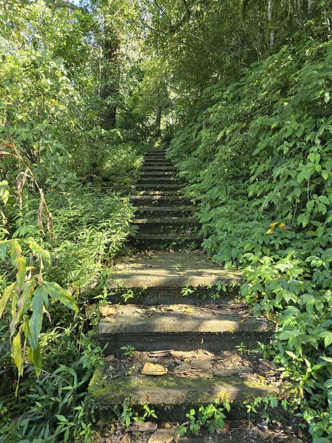 Munduk: Twin Lakes Jungle Hike with Lake Canoe and Waterfall - Price, timing, and who should book