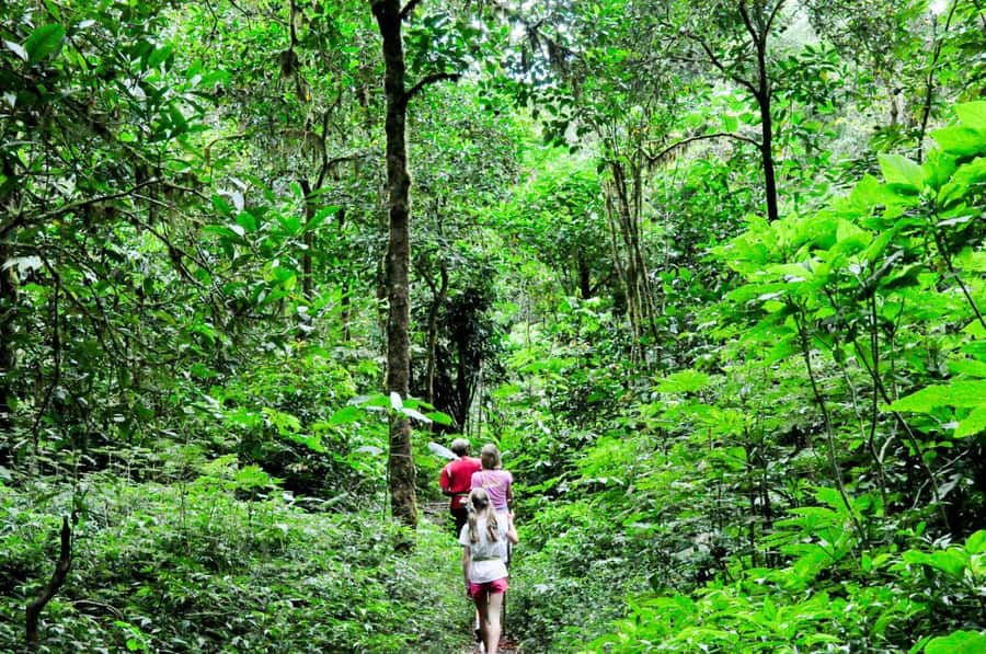 Munduk: Twin Lakes Jungle Hike with Lake Canoe and Waterfall - Hotel pickup and the long road into the hills