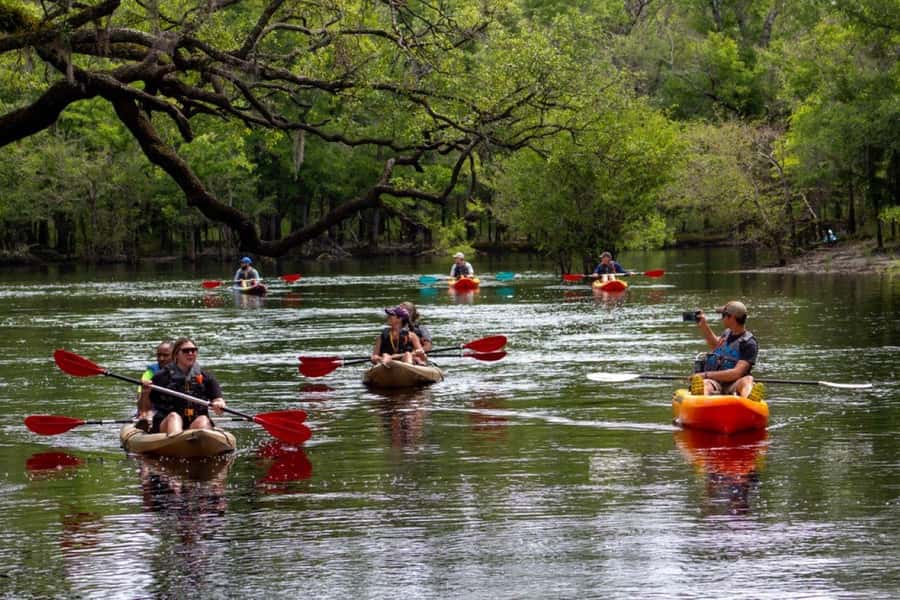 Myrtle Beach: Waccamaw River Kayak Island Tour - Key points at a glance